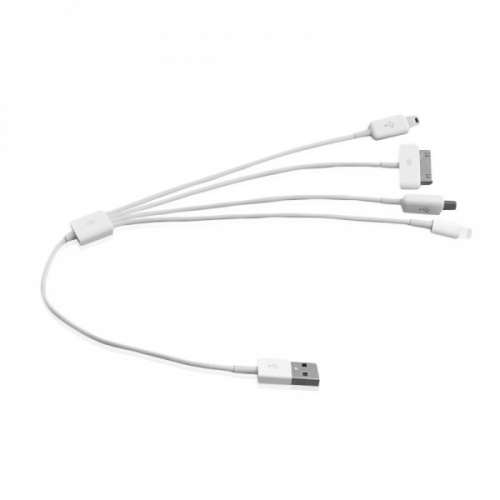 Multi-Tip USB Cable (4-into-1)